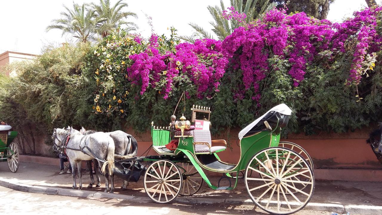 Mirador De Majorelle, The Apartment Is Only For Families Marrakesh Ngoại thất bức ảnh